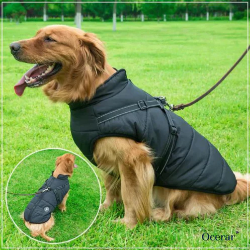 Furcata™ winterjas voor honden | 50% KORTING - Image 14
