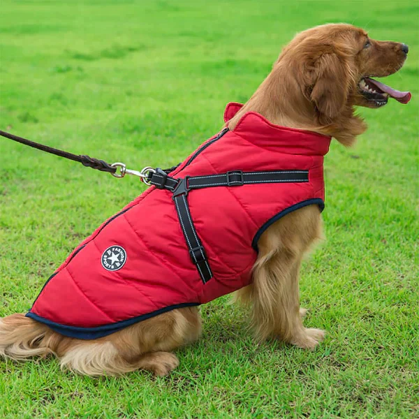 Furcata™ winterjas voor honden | 50% KORTING - Image 5