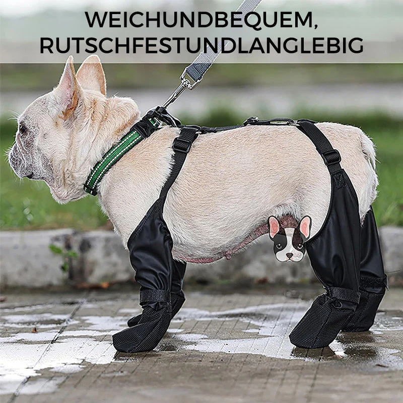 PawGuard™ - Veilige en comfortabele poten | 50% KORTING - Image 11