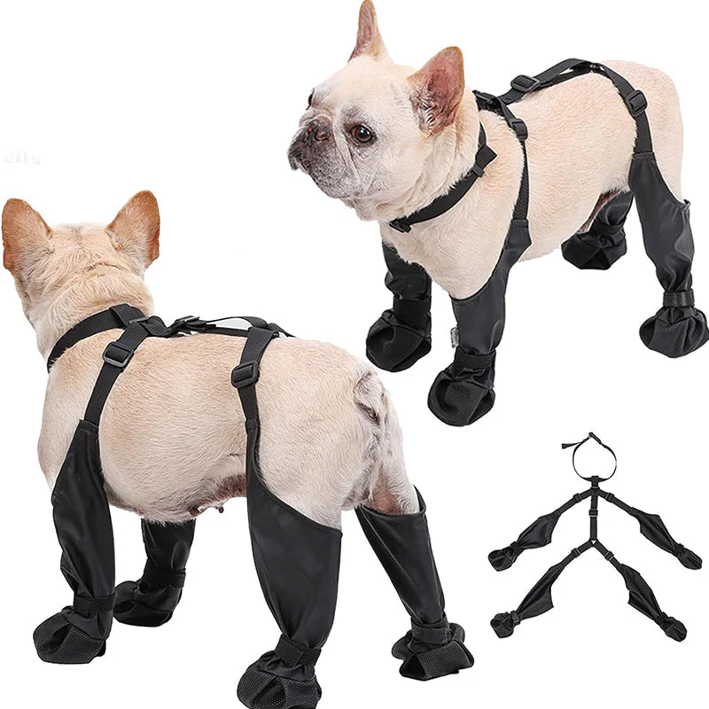 PawGuard™ - Veilige en comfortabele poten | 50% KORTING - Image 3