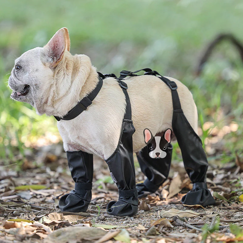 PawGuard™ - Veilige en comfortabele poten | 50% KORTING - Image 8