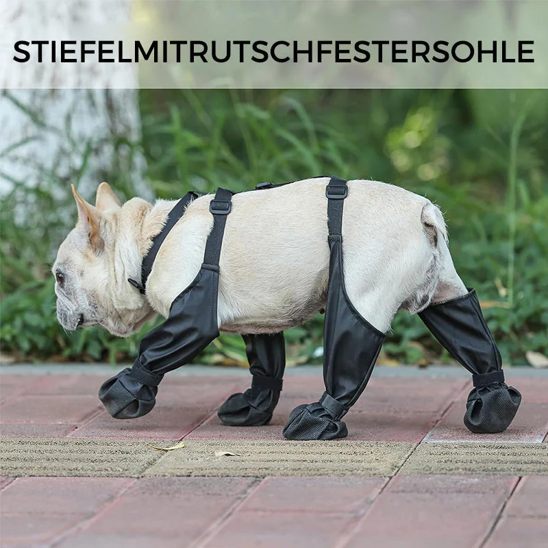 PawGuard™ - Veilige en comfortabele poten | 50% KORTING - Image 9